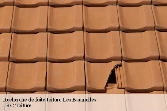 recherche-de-fuite-toiture