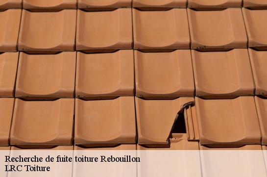 recherche-de-fuite-toiture