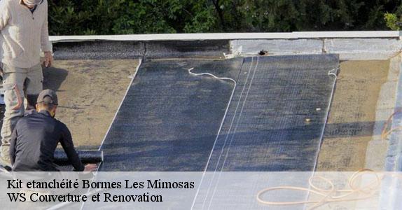 Kit etanchéité  bormes-les-mimosas-83230 WS Couverture et Renovation