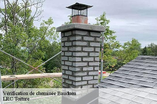 verification-de-cheminee