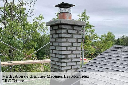 verification-de-cheminee