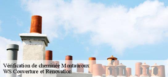Vérification de cheminée  83440