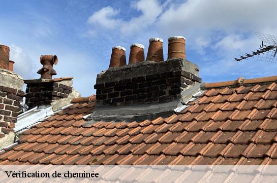 verification-de-cheminee 