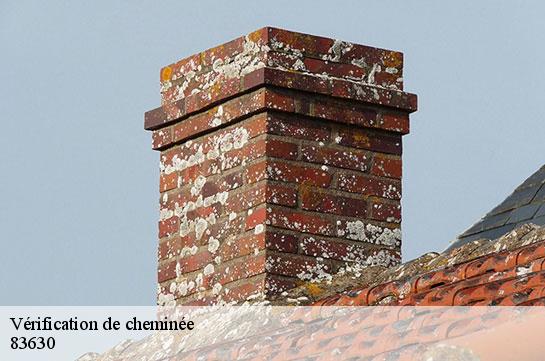 verification-de-cheminee