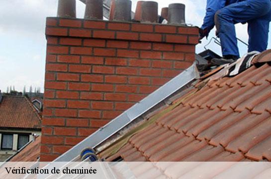 verification-de-cheminee 