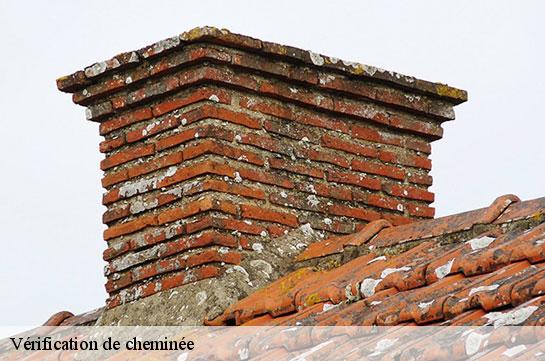 verification-de-cheminee 