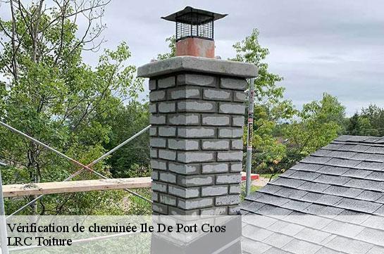 verification-de-cheminee 