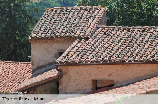 Urgence fuite de toiture Var 