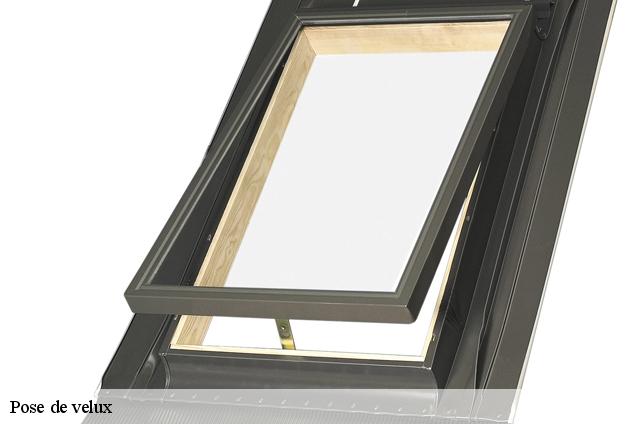 Pose de velux Var 