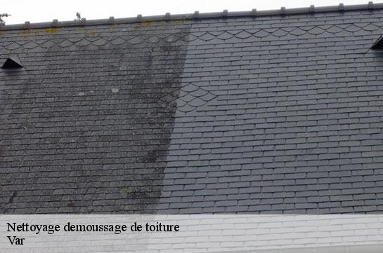 nettoyage-demoussage-de-toiture 