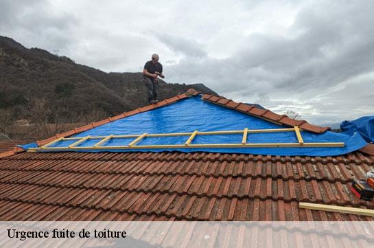 urgence-fuite-de-toiture 