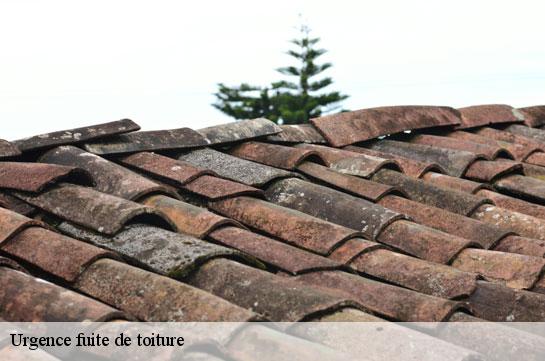urgence-fuite-de-toiture 