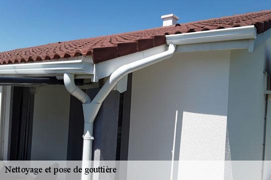 nettoyage-et-pose-de-gouttiere