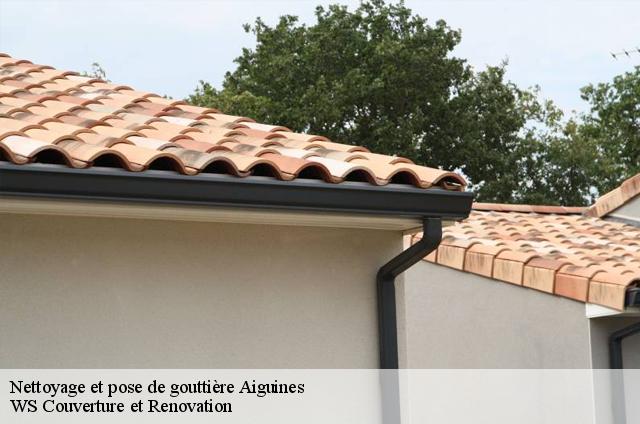 Nettoyage et pose de gouttière  aiguines-83630 WS Couverture et Renovation