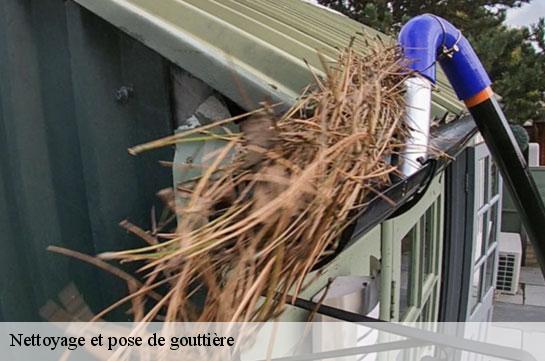 nettoyage-et-pose-de-gouttiere 