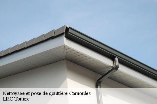 nettoyage-et-pose-de-gouttiere