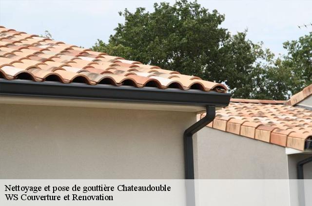Nettoyage et pose de gouttière  chateaudouble-83300 WS Couverture et Renovation