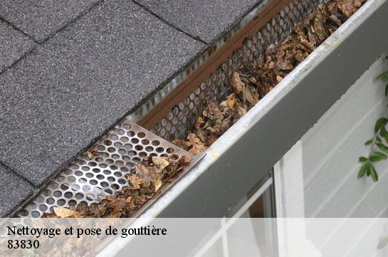 nettoyage-et-pose-de-gouttiere