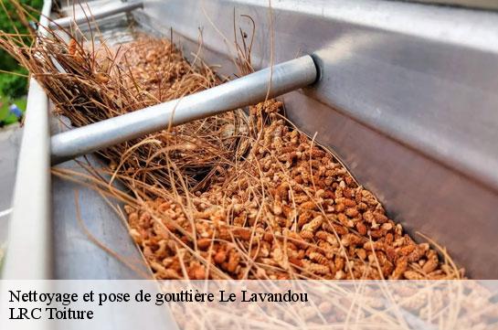 nettoyage-et-pose-de-gouttiere 