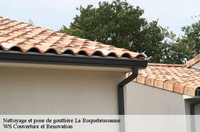 Nettoyage et pose de gouttière  la-roquebrussanne-83136 WS Couverture et Renovation