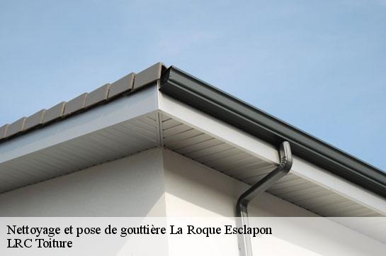 nettoyage-et-pose-de-gouttiere 