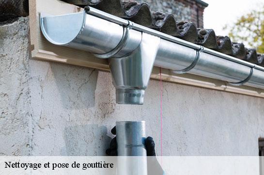 nettoyage-et-pose-de-gouttiere