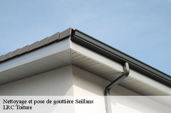 nettoyage-et-pose-de-gouttiere