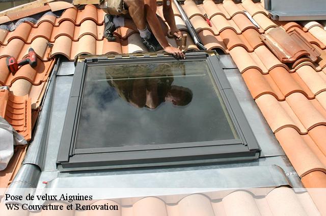 Pose de velux  83630