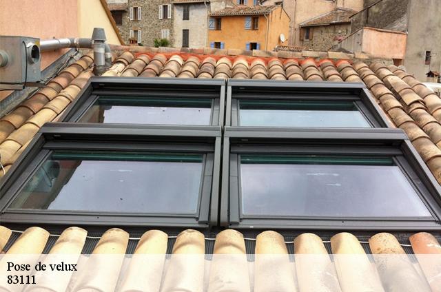 Pose de velux  83111