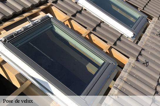 pose-de-velux 