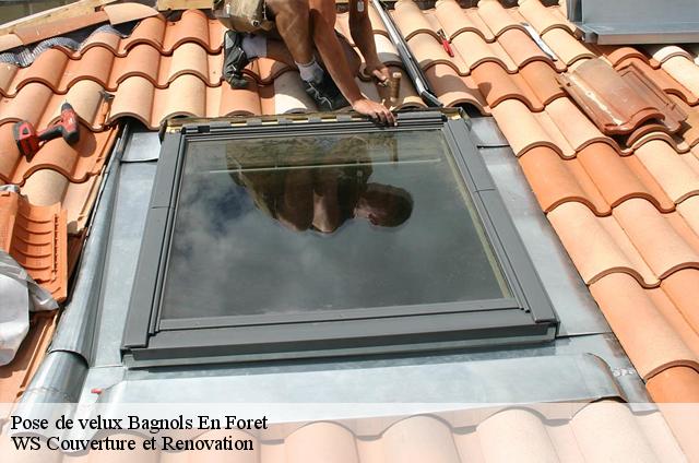 Pose de velux  83600