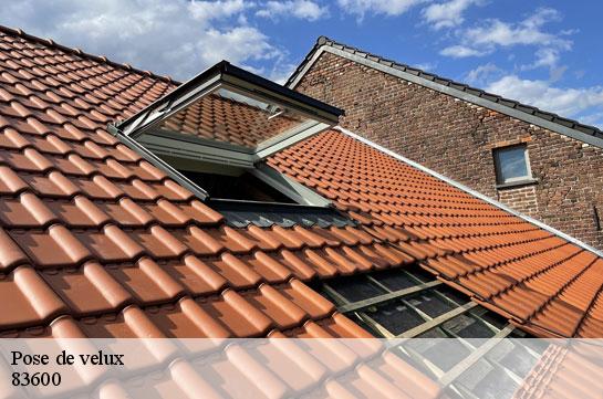 pose-de-velux