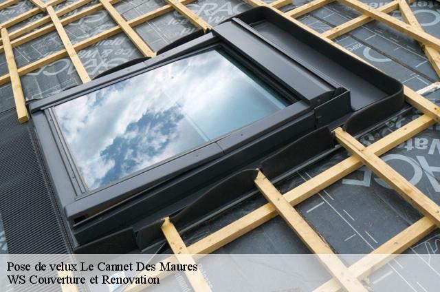 Pose de velux  83340