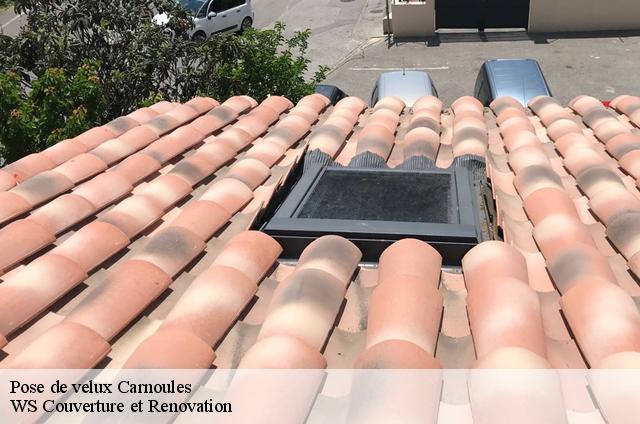 Pose de velux  83660