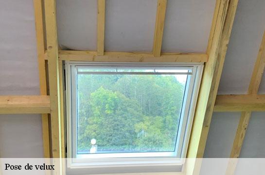 pose-de-velux
