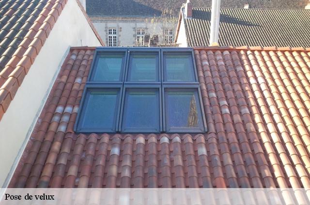 Pose de velux  83300