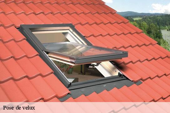 pose-de-velux 