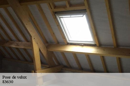 pose-de-velux