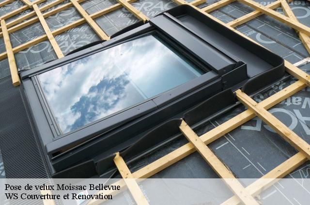 Pose de velux  moissac-bellevue-83630 WS Couverture et Renovation