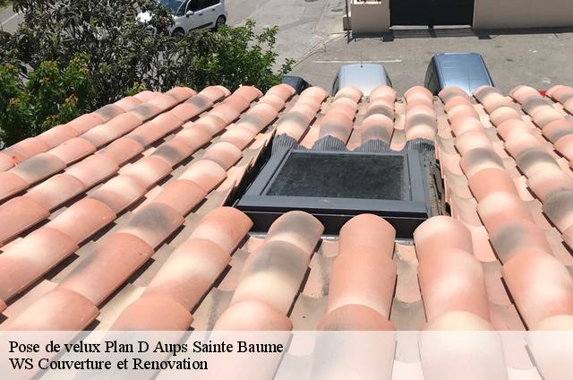 Pose de velux  83640