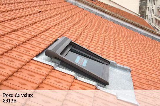 pose-de-velux 