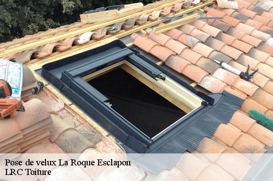 pose-de-velux 