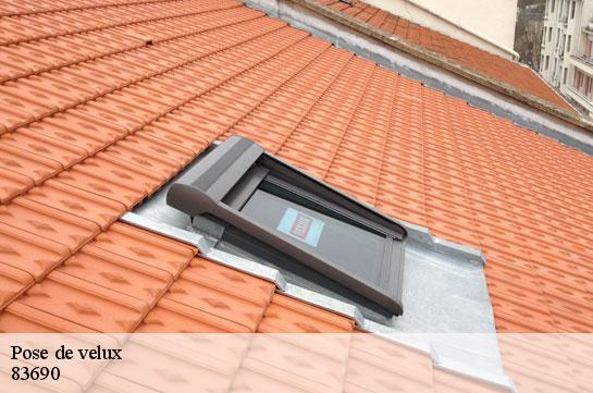 pose-de-velux