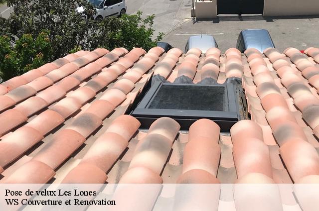 Pose de velux  83140