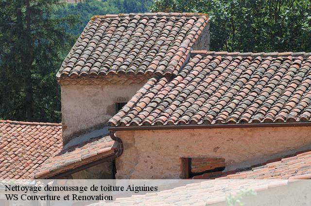 Nettoyage demoussage de toiture  aiguines-83630 WS Couverture et Renovation