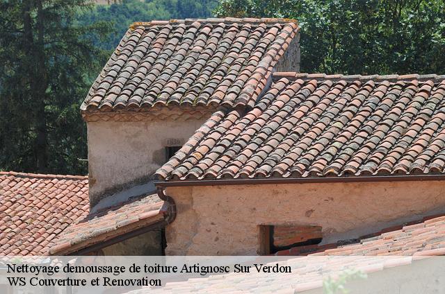 Nettoyage demoussage de toiture  artignosc-sur-verdon-83630 WS Couverture et Renovation