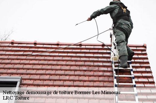 nettoyage-demoussage-de-toiture 