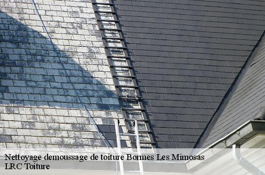 nettoyage-demoussage-de-toiture