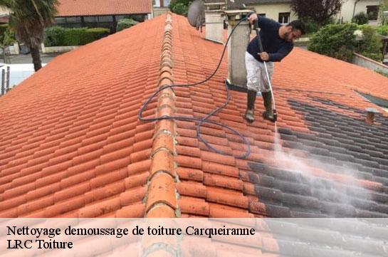 nettoyage-demoussage-de-toiture