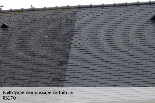 nettoyage-demoussage-de-toiture